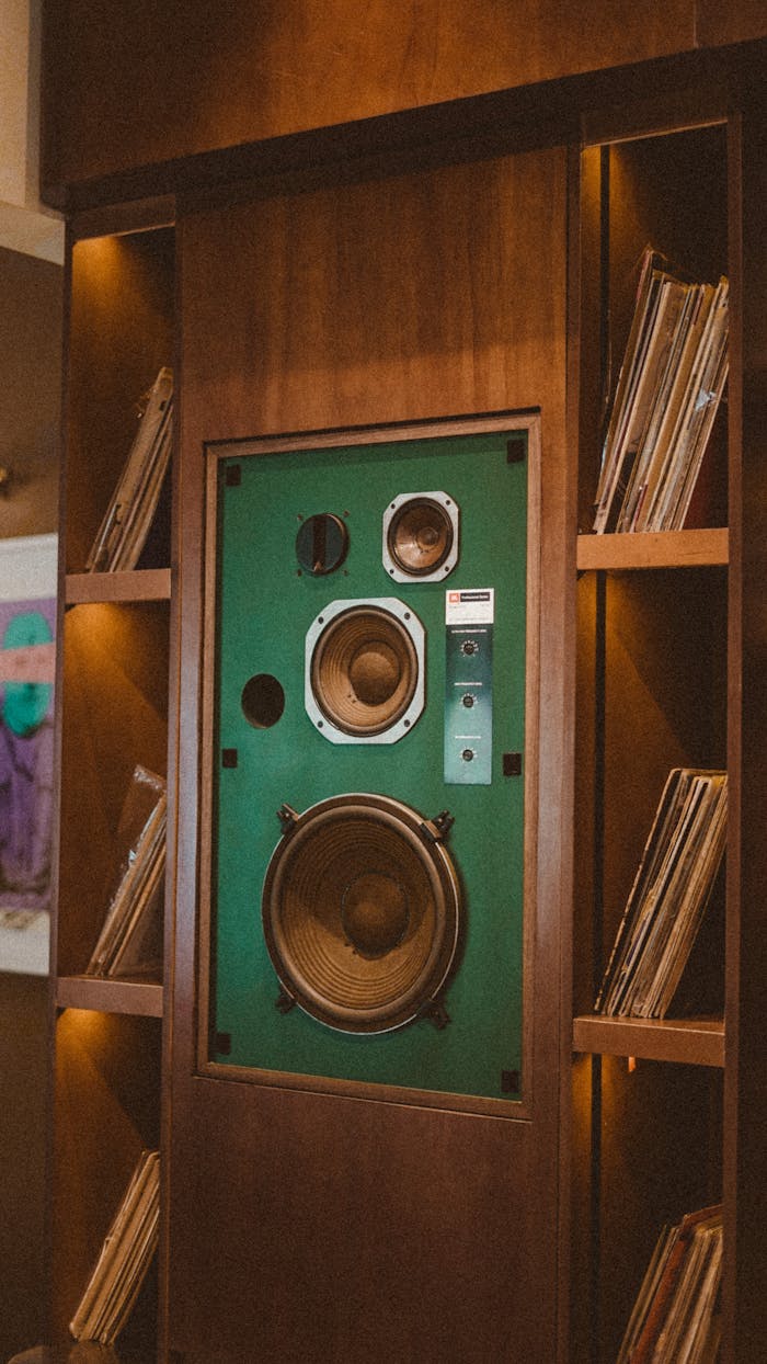 Retro wooden speaker cabinet with green panel surrounded by vinyl records on shelves.